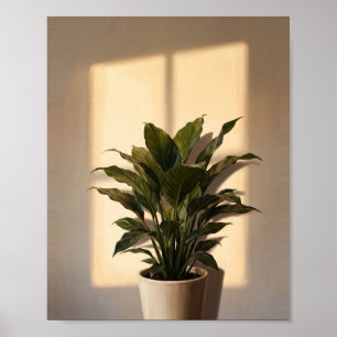 Window Shadow Art No. 3 Vintage Painting Poster