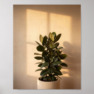 Window Shadow Art No. 4 Vintage Painting Poster