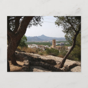 Window through the trees. postcard