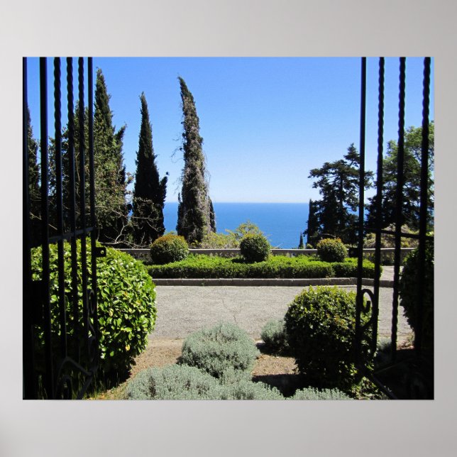 Window View Poster (Front)