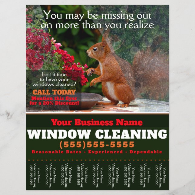 Window Washing Cleaning Business Tearsheet Flyer (Front)