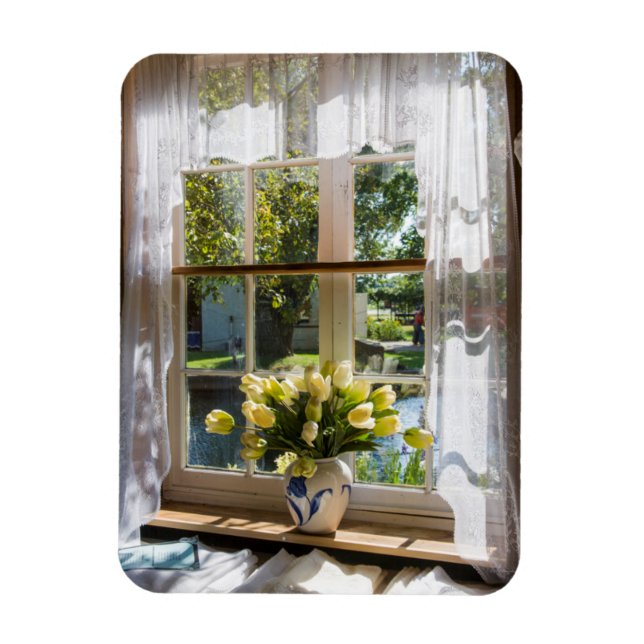 Window with lace curtain and tulips magnet (Vertical)