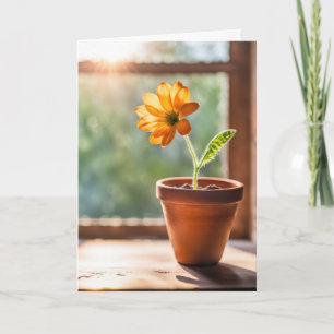 Window With Orange Daisy Thinking Of You Card