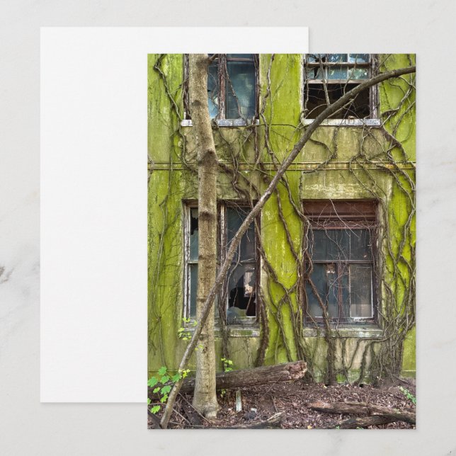 Windows and Vines Holiday Card (Front/Back)