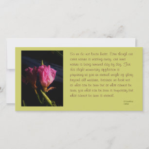 windows cats flowers 018.JPG, So we do not loos...