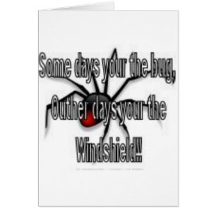 windshield