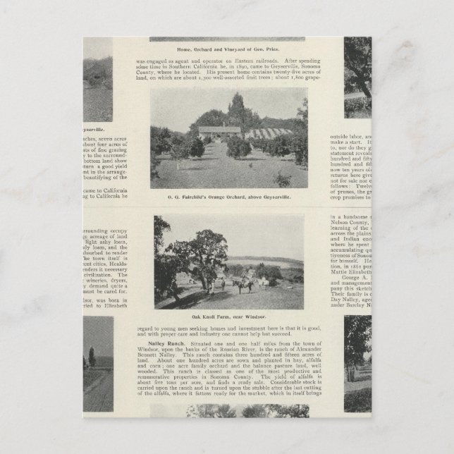 Windsor, California Postcard (Front)