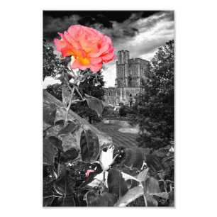 Windsor Castle Berkshire England UK Photo Print