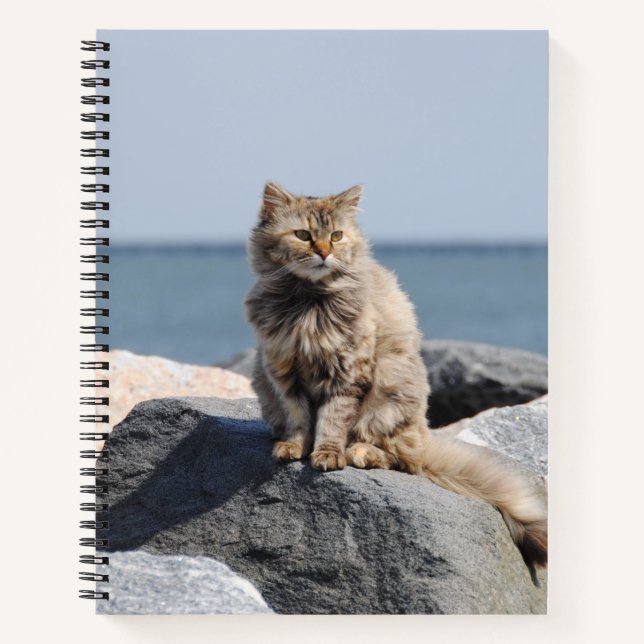 Windswept Cat at Seaside Cute Photo Notebook (Front)