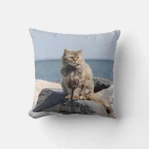 Windswept Cat by the Sea Cute Photo Cushion