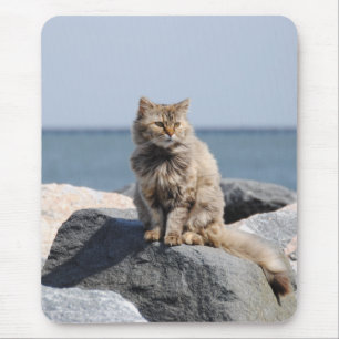 Windswept Cat by the Sea Cute Photo Mouse Mat