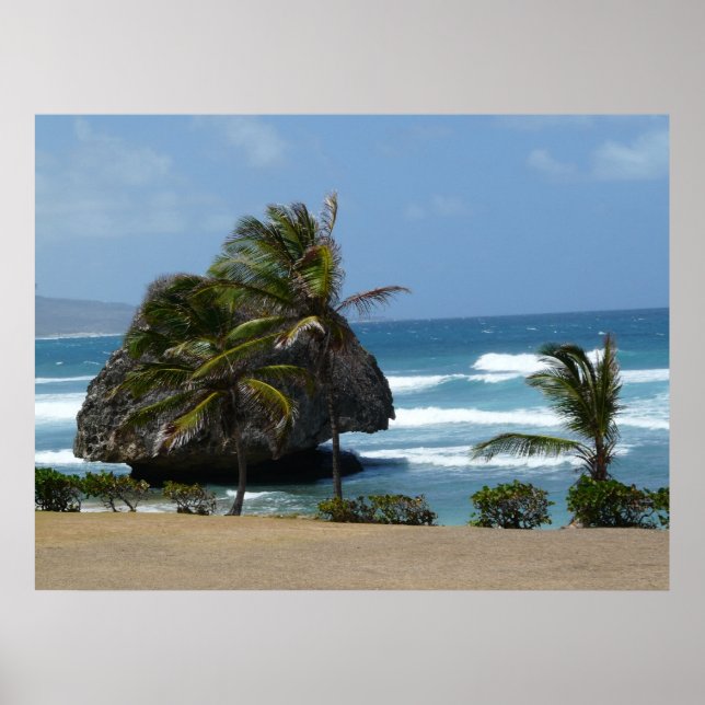 Windswept Poster (Front)