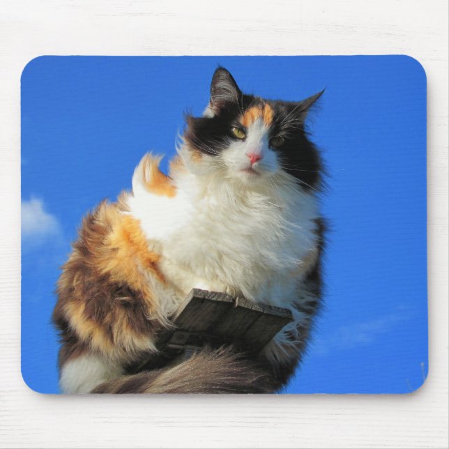 Windy up here mouse mat (Front)