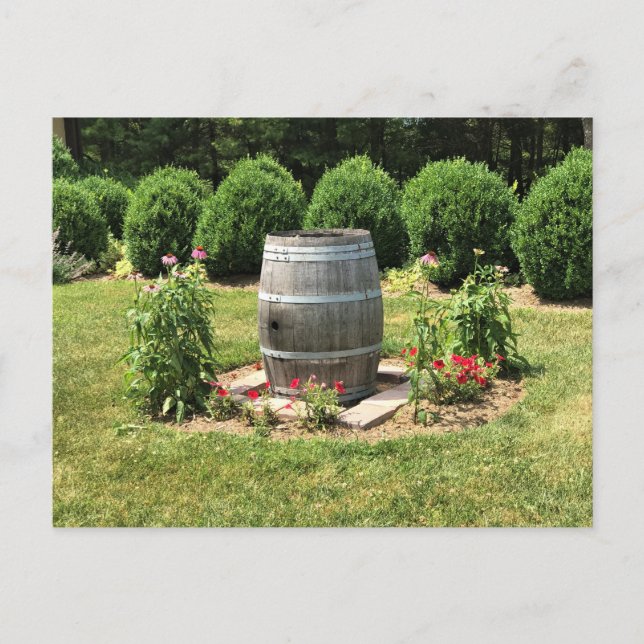 Wine Barrel Garden Decor, Chateau Morrisette, VA Postcard (Front)