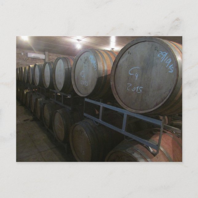 wine barrel stands postcard (Front)