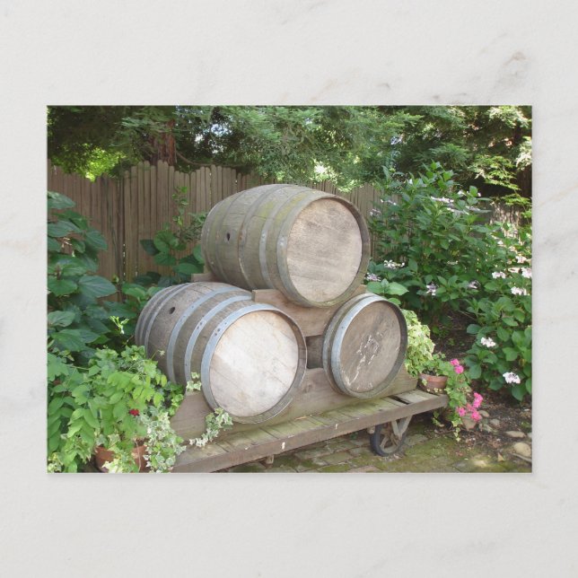 Wine Barrels - Wine Country Postcard (Front)