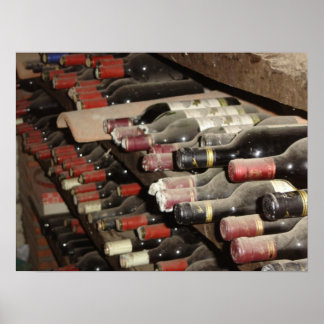 Wine Cellar Poster