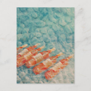 Wine Cooling 2010 Postcard