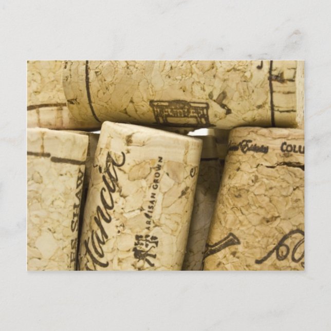 Wine Corks Postcard (Front)