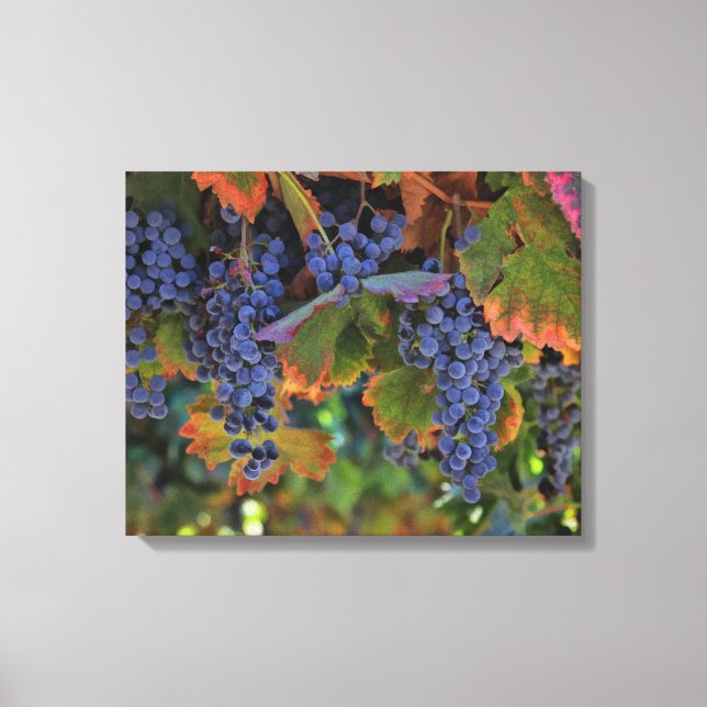 Wine Country Art Canvas Vineyard Print (Front)