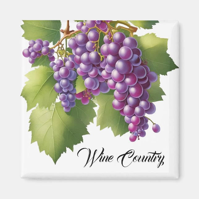 Wine Country Grapes  Magnet (Front)