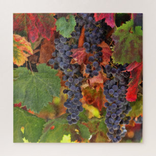 Wine Country Harvest Grape Jigsaw Puzzle