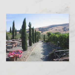 Wine Country Postcard