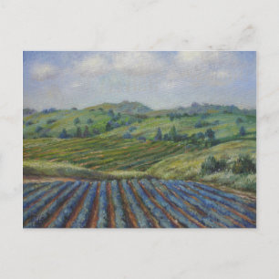 Wine Country Postcard