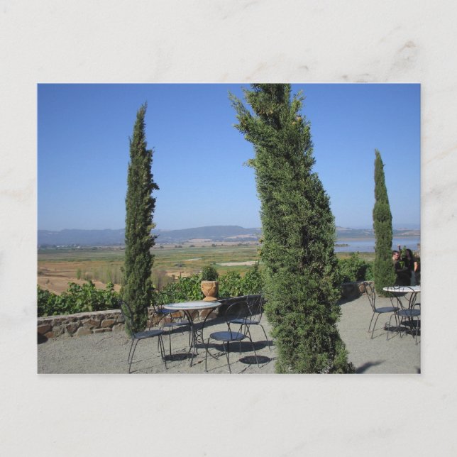 Wine Country Postcard (Front)