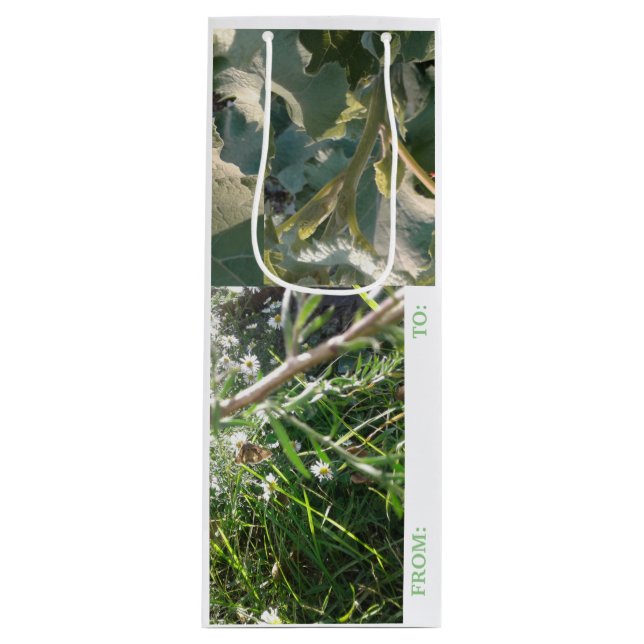 WINE Gift Bag CARD COMBO/ MMETROPOLIM DESIGN (Front)