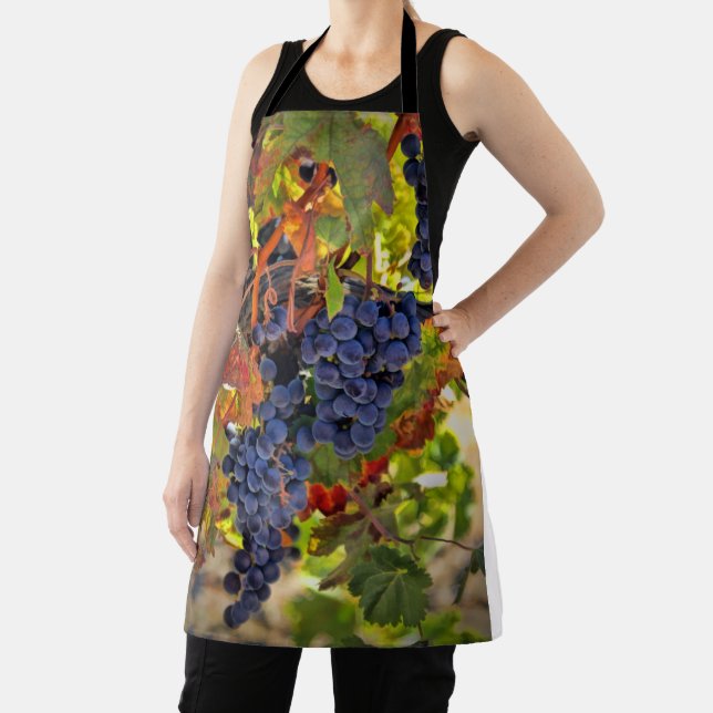 Wine Grape Vineyard with Fall Colours Apron (Insitu)