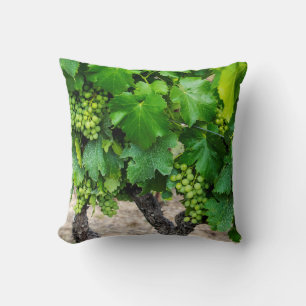 Wine Grapes Growing, France Cushion