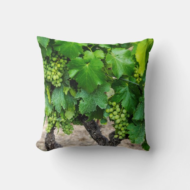 Wine Grapes Growing, France Cushion (Front)