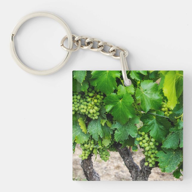 Wine Grapes Growing, France Key Ring (Front)