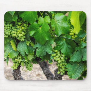 Wine Grapes Growing, France Mouse Mat
