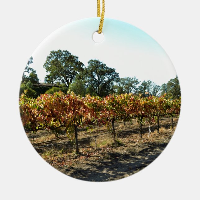Wine Grapes in Mendocino County, California Ceramic Tree Decoration (Front)