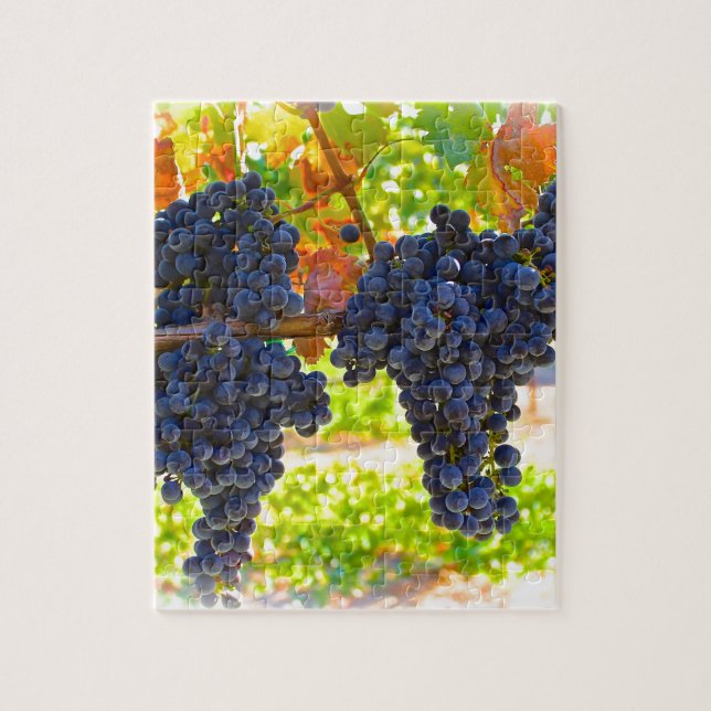 Wine grapes jigsaw puzzle (Vertical)