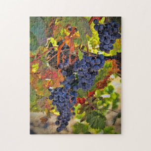 Wine Harvest Grape Fall  Colours Jigsaw Puzzle