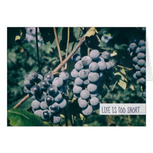 Wine Purple Grapes Harvest Grape on the Vine