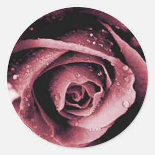 Wine Rose Envelope Seal Sticker