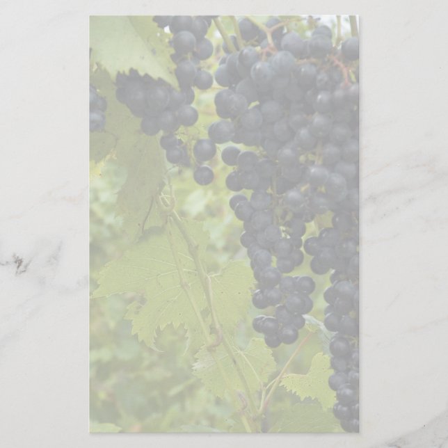 Wine Vineyard Theme Wedding Stationery (Front)