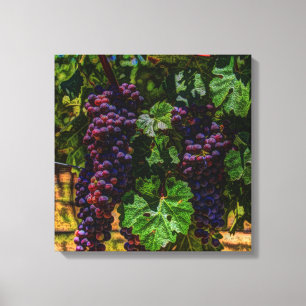Winery Grapevine sunny tuscany vineyard grapes Canvas Print