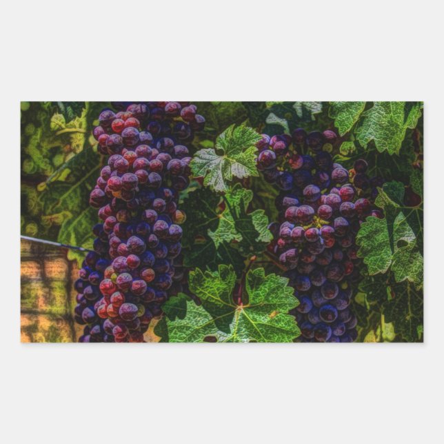Winery Grapevine sunny tuscany vineyard grapes Rectangular Sticker (Front)