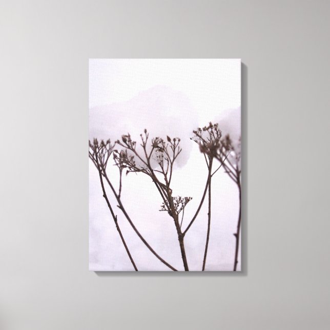 Winetr, Plants in the snow  Single Canvas Print (Front)