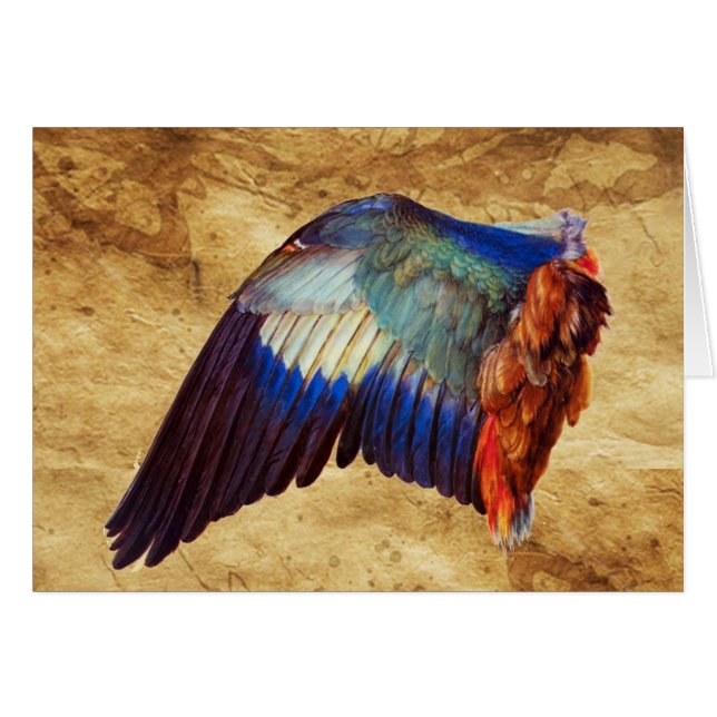 WING FEATHERS OF AN EUROPEAN ROLLER (Front Horizontal)