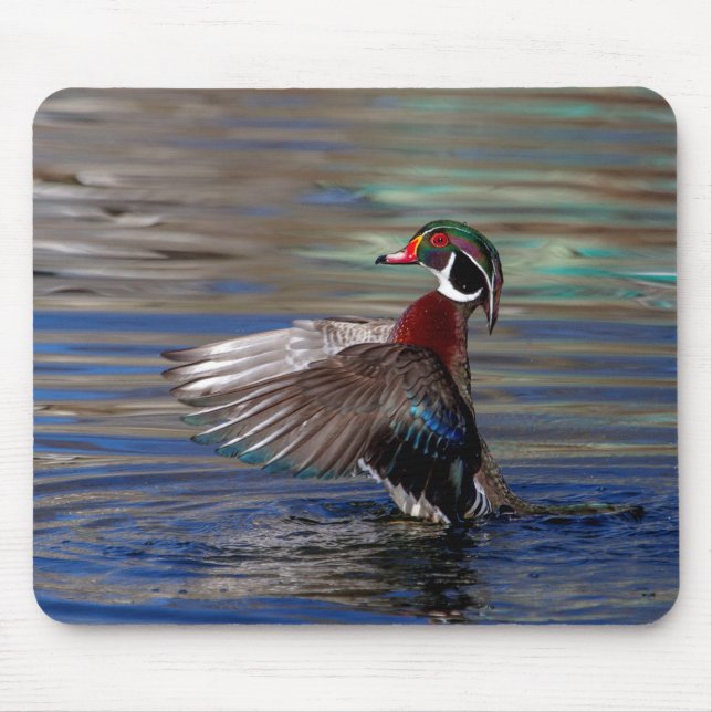 Wing Flapping Wood Duck Mouse Mat (Front)