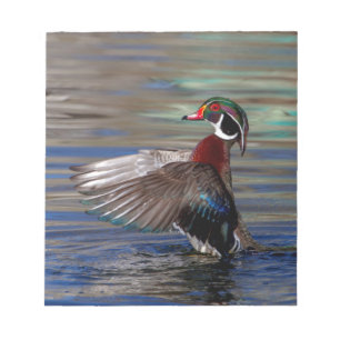 Wing Flapping Wood Duck Notepad
