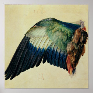 Wing of a Blue Roller, 1512 Poster