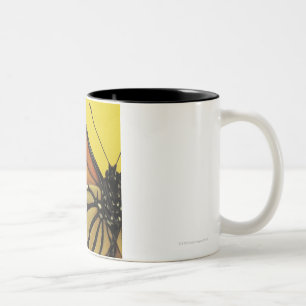 Wing of a butterfly Two-Tone coffee mug