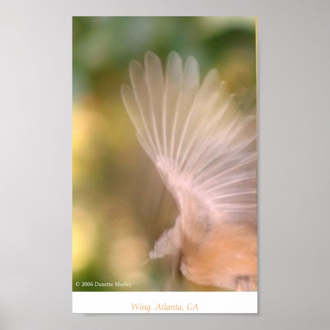 Wing Poster (Front)